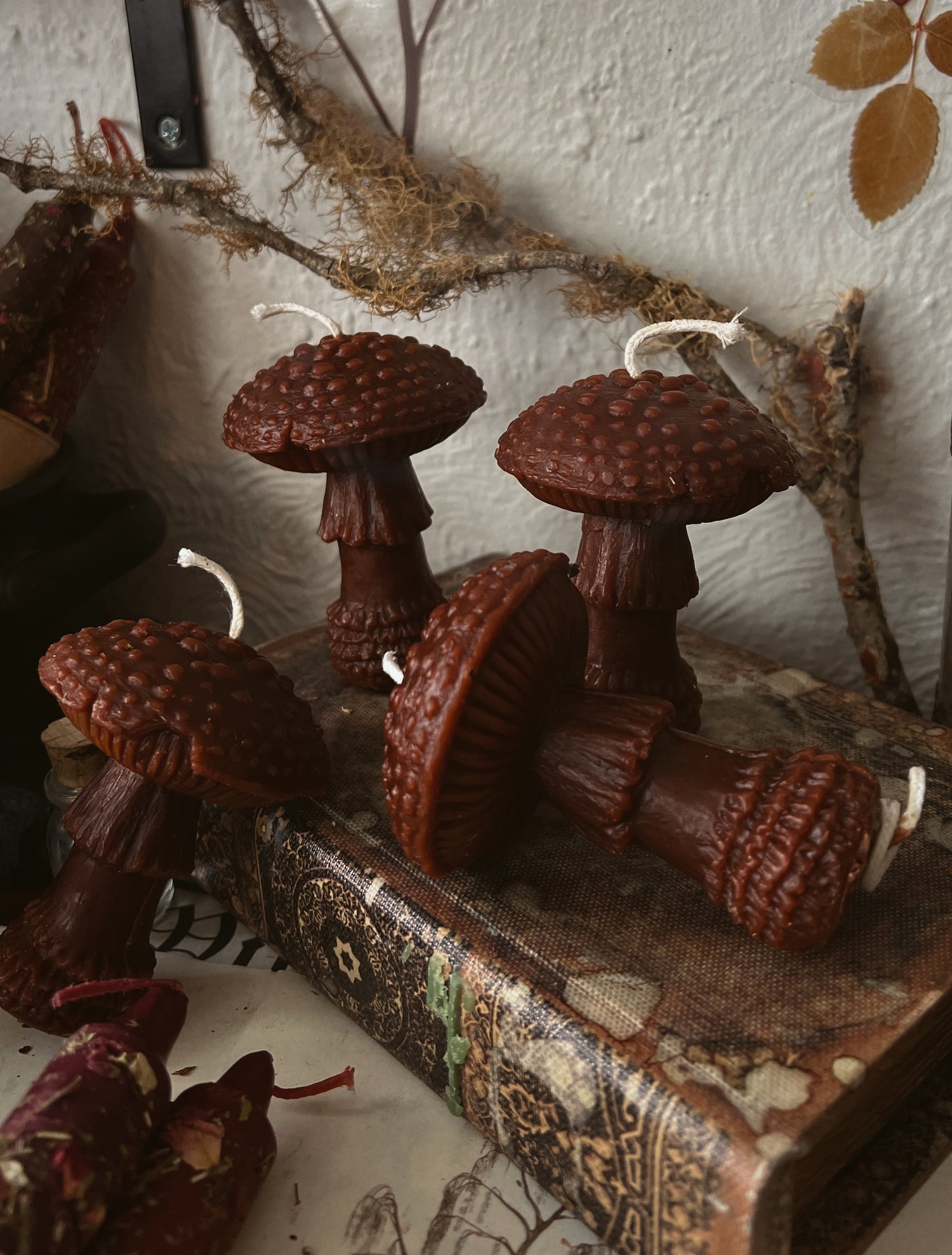 Beeswax Amanitas