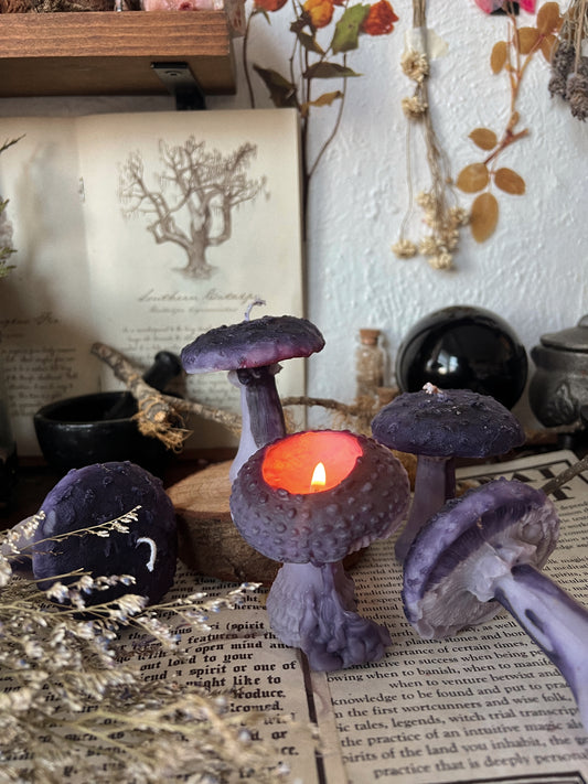 Milk Cap Mushroom Candles