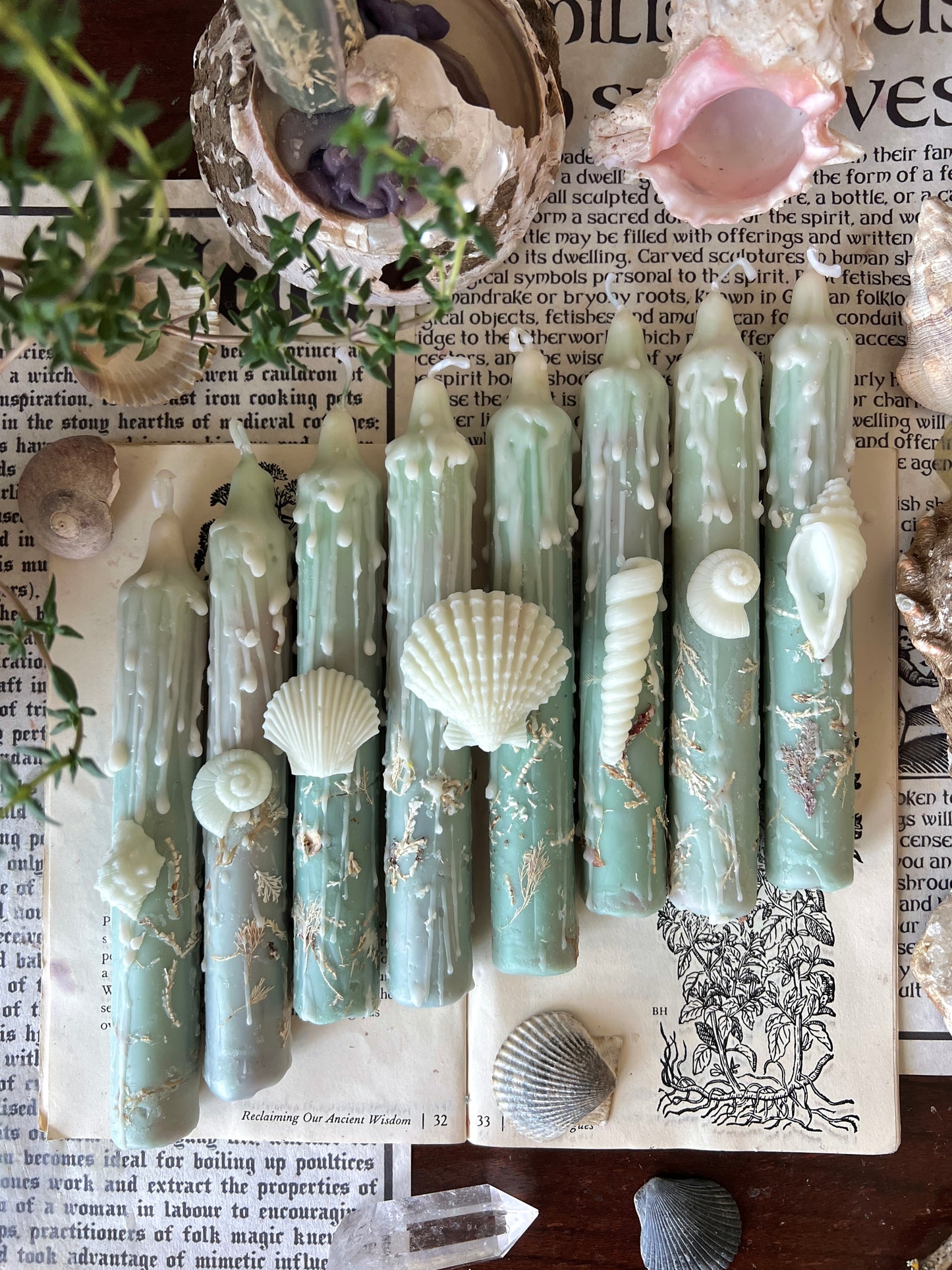 Amphitrite