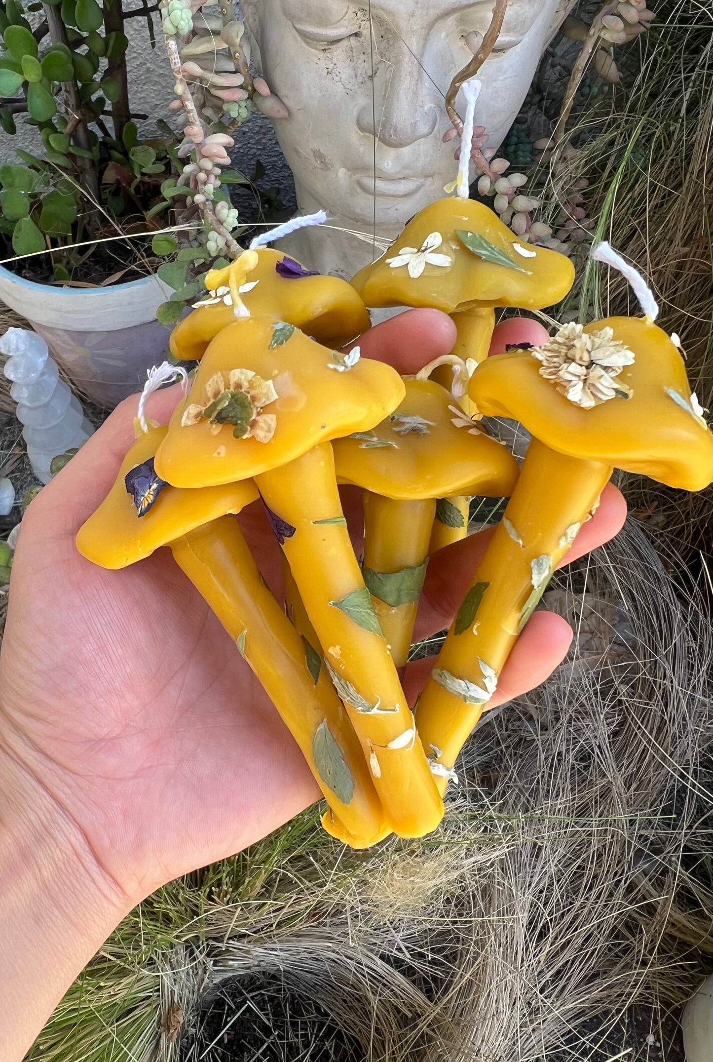 Botanical Beeswax Mushrooms