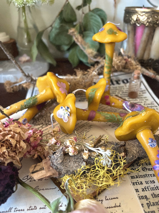 Botanical Beeswax Mushrooms