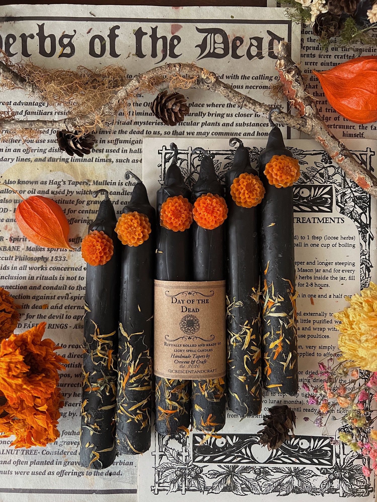 Day of the Dead Tapers