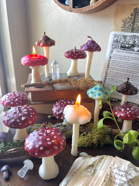 Toadstool Mushroom Candles
