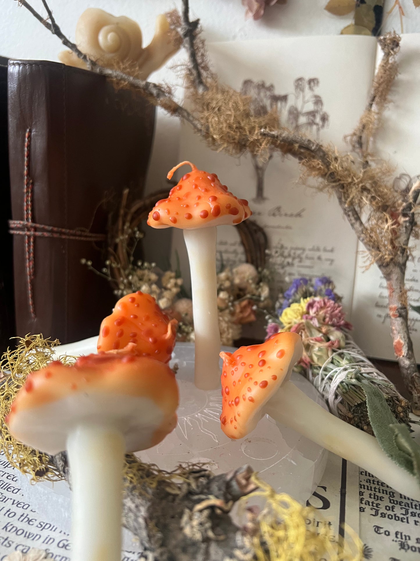 Magic Mushroom Candles