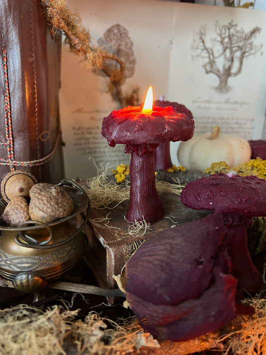 Toadstool Mushroom Candles