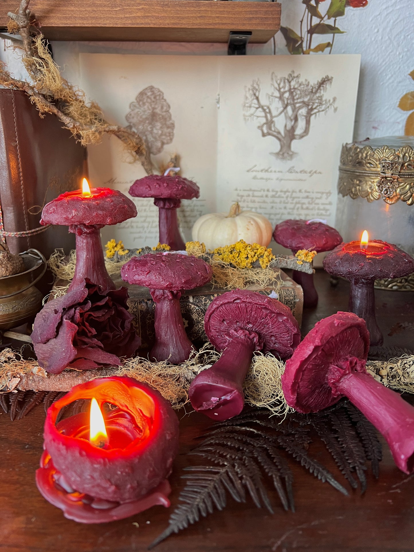 Toadstool Mushroom Candles