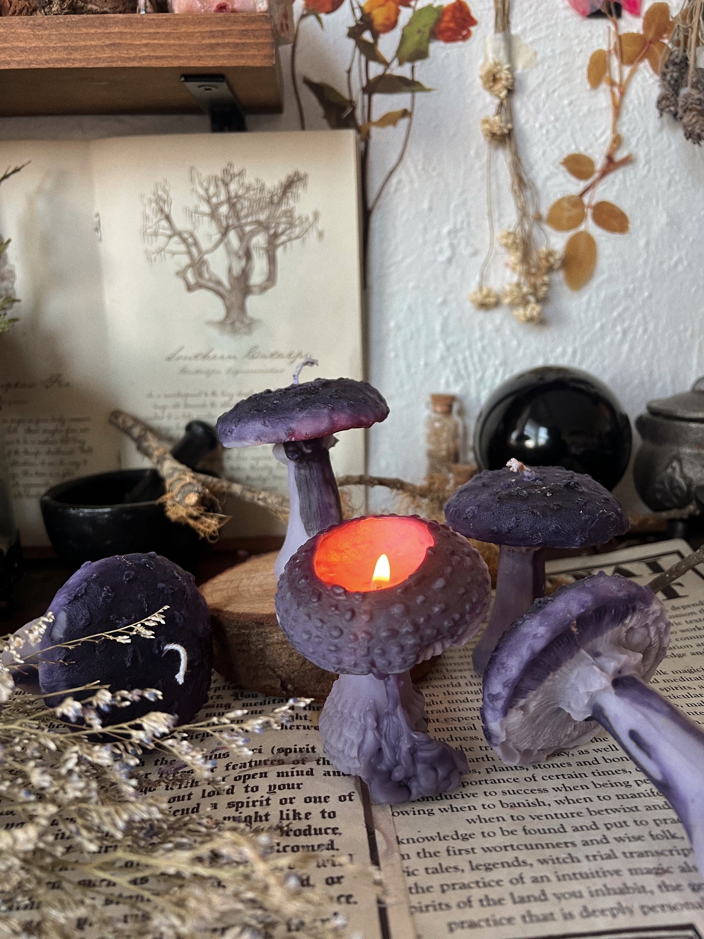 Milk Cap Mushroom Candles