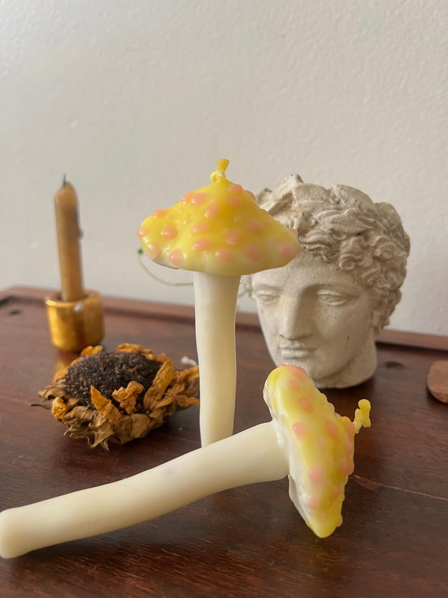 Magic Mushroom Candles