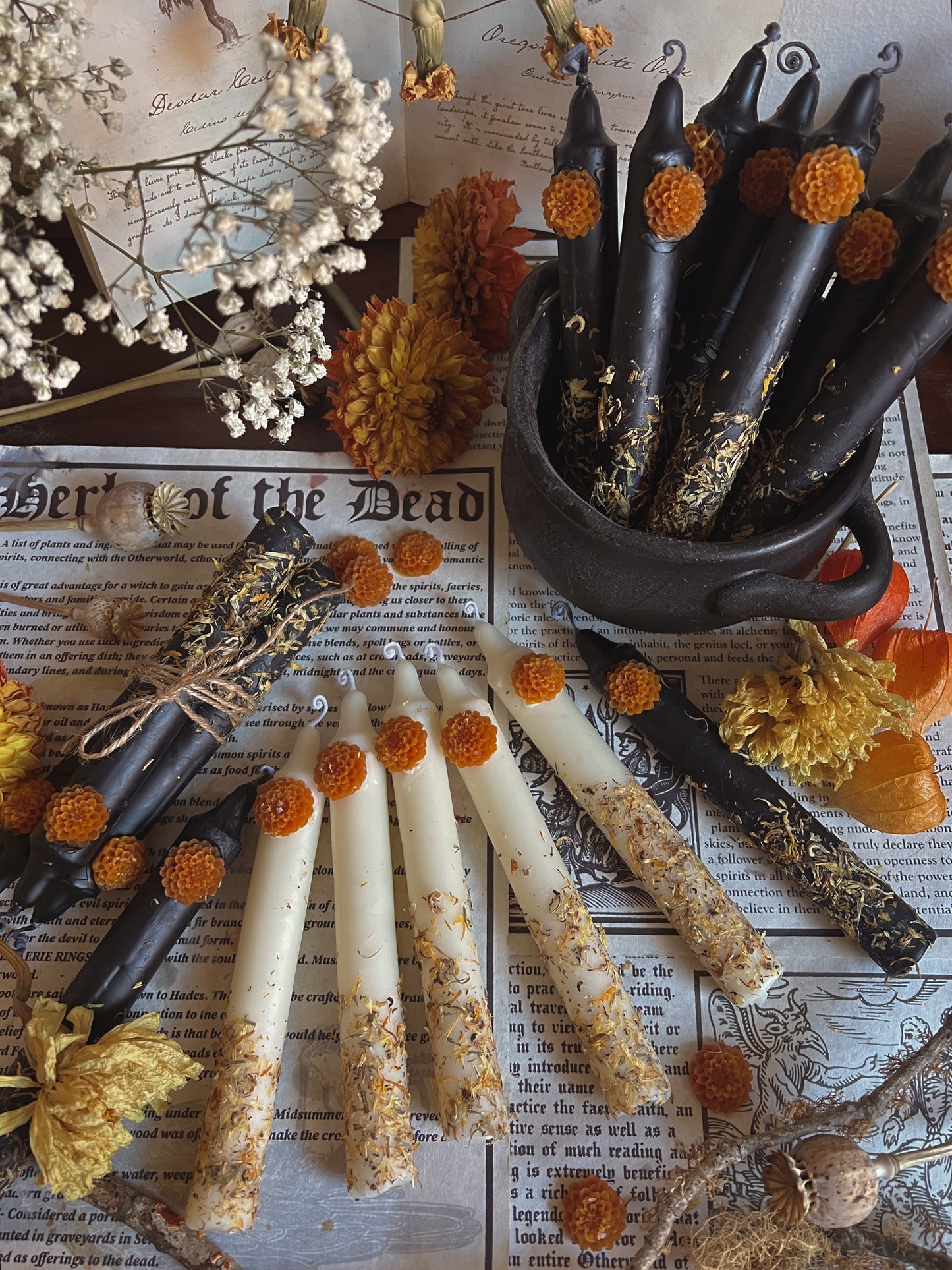Day of the Dead Tapers