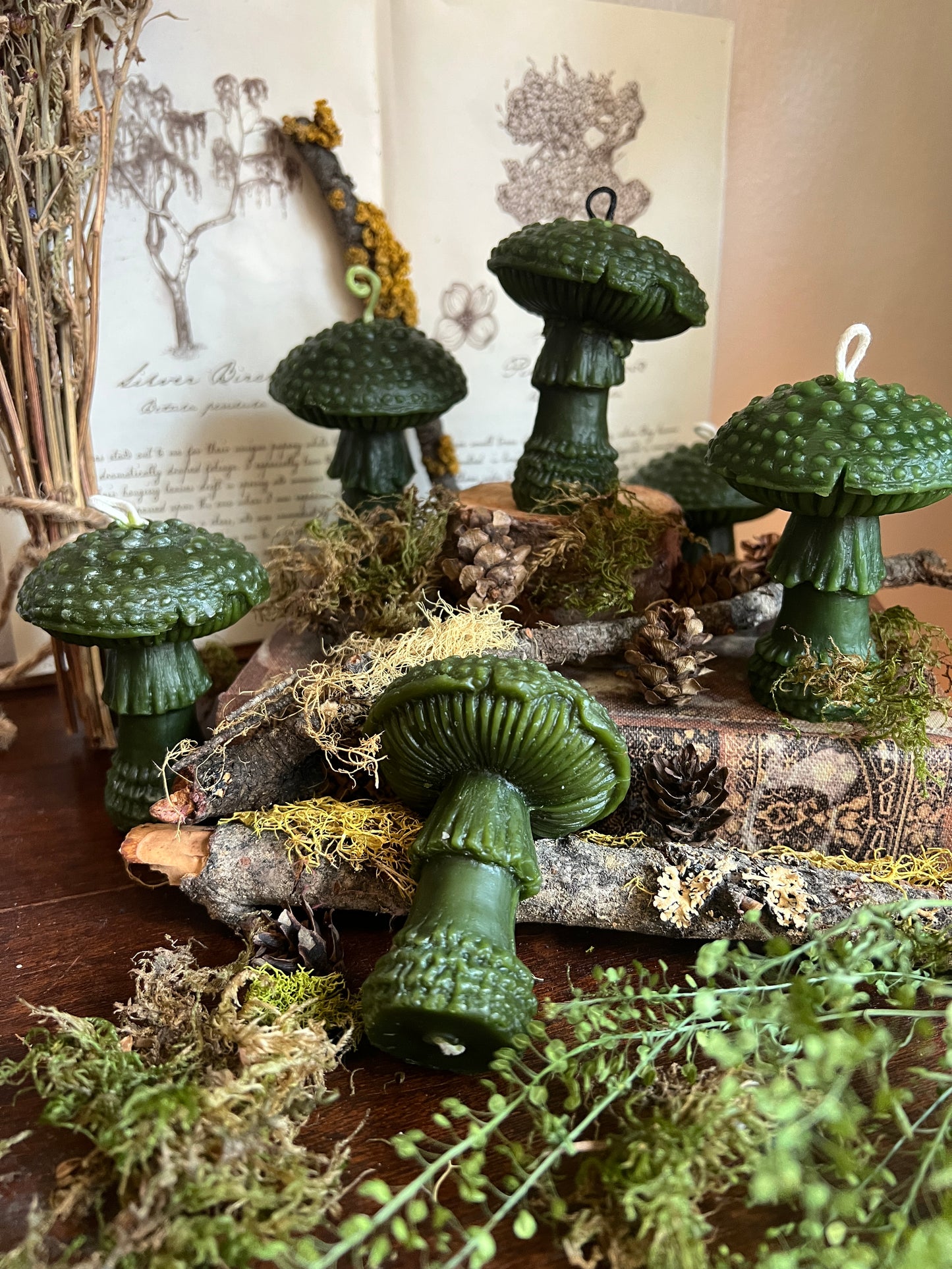 Beeswax Amanitas