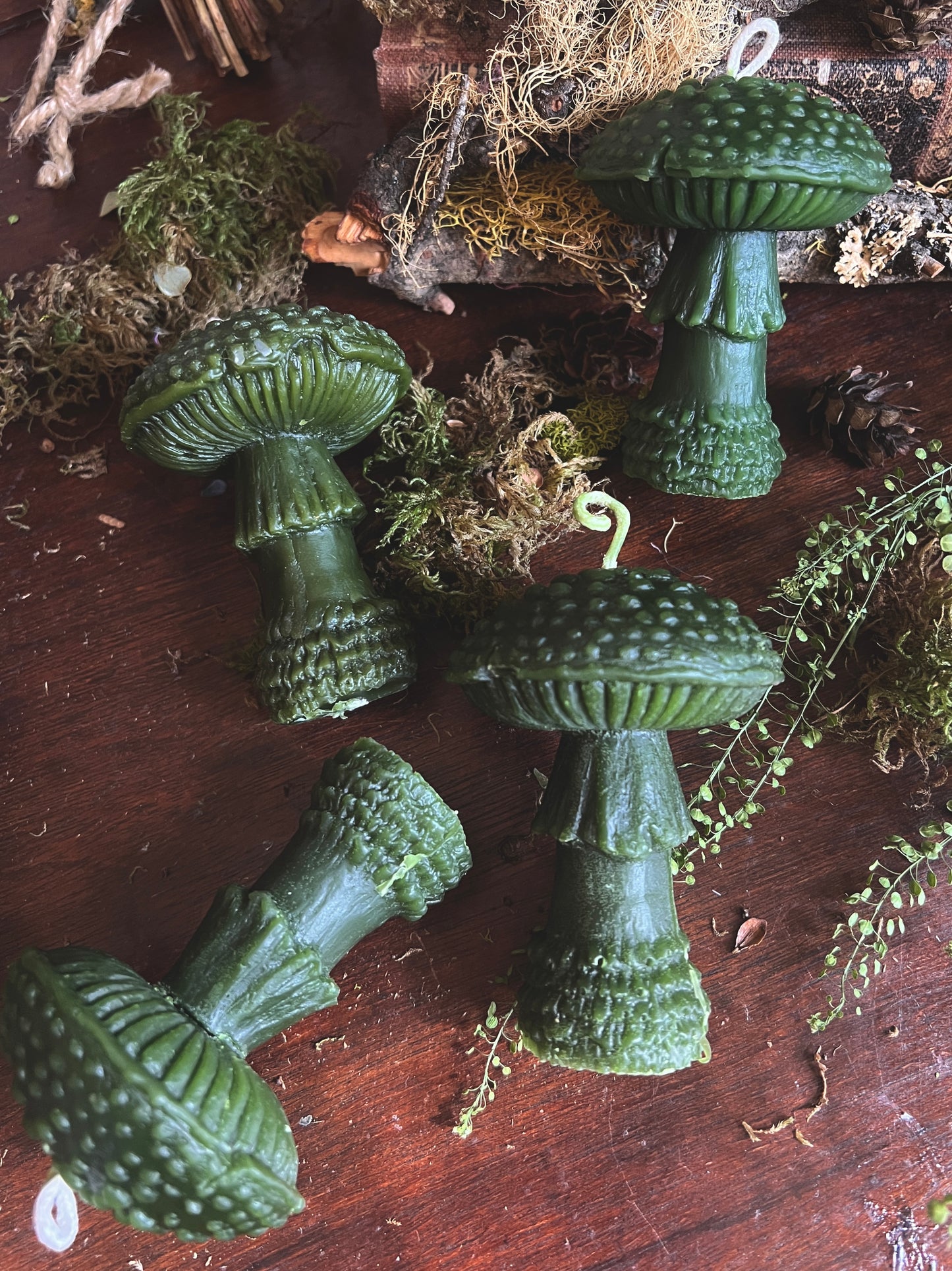 Beeswax Amanitas