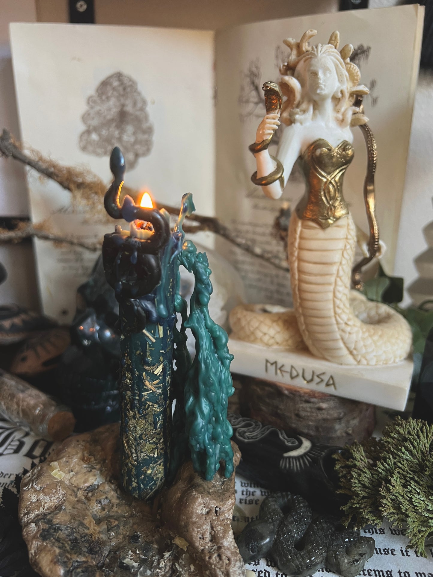 Medusa the Gorgon