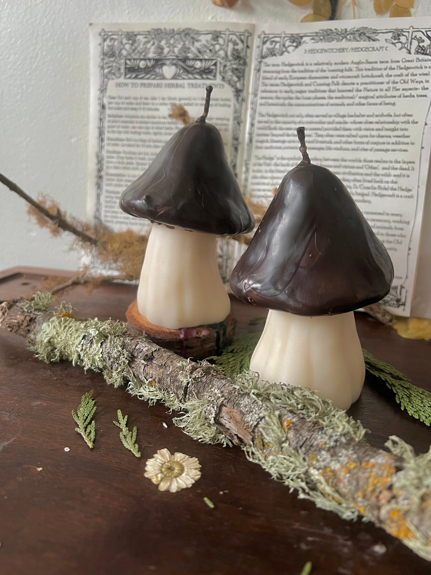 Large Mushroom Candles