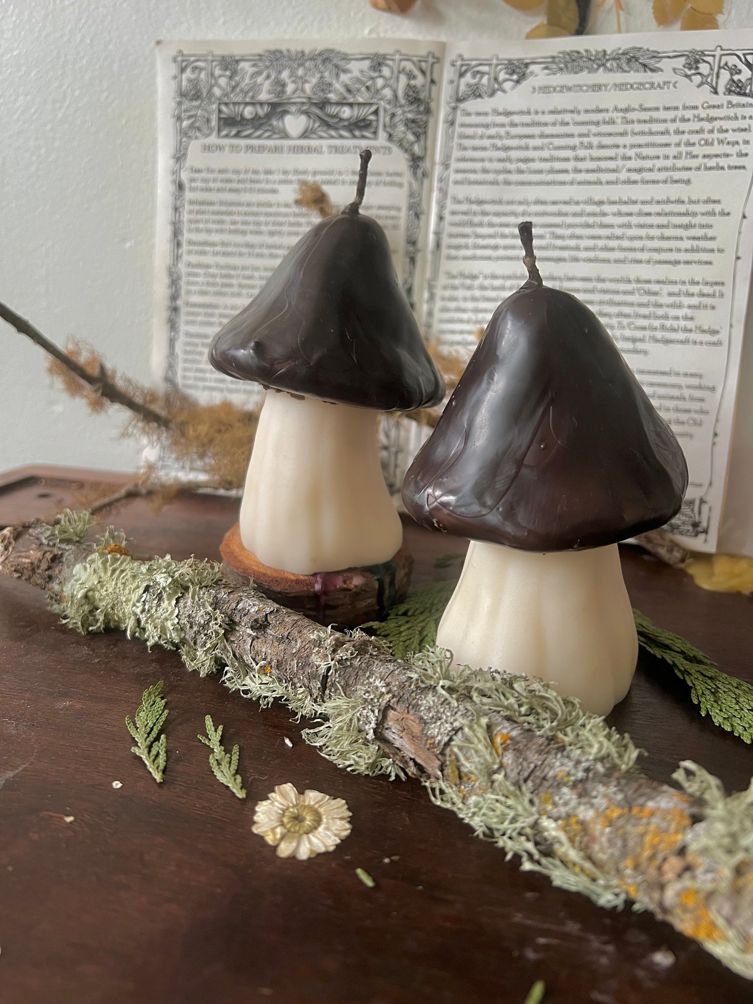 Toadstool Mushroom Candles – Crescent & Craft