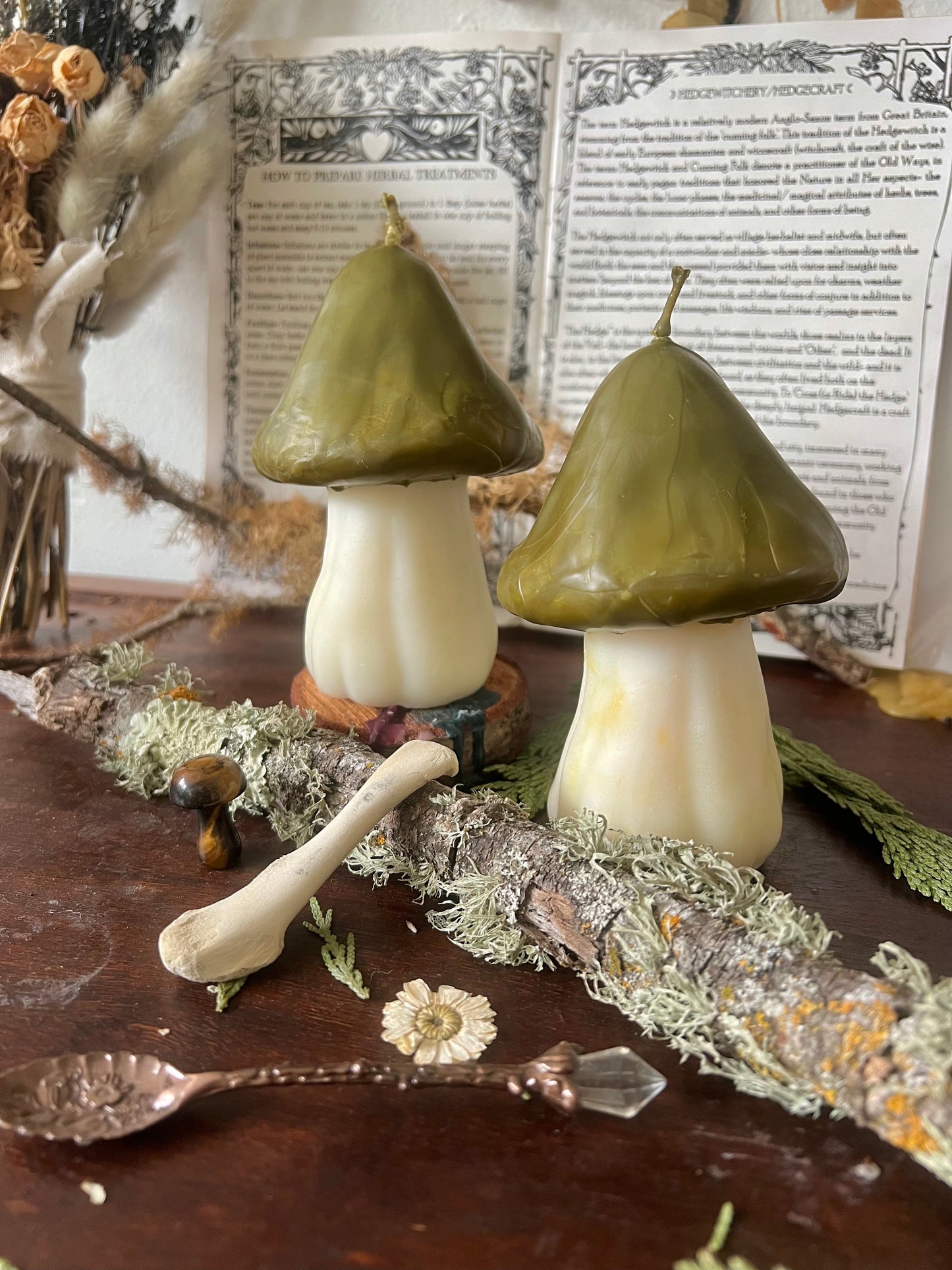 Large Mushroom Candles