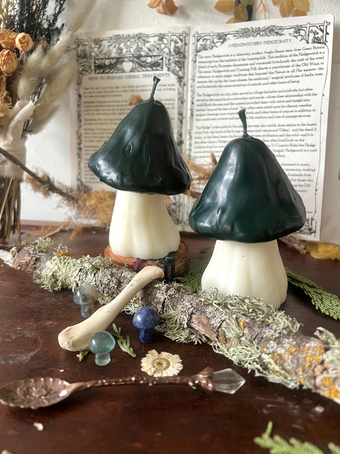 Large Mushroom Candles