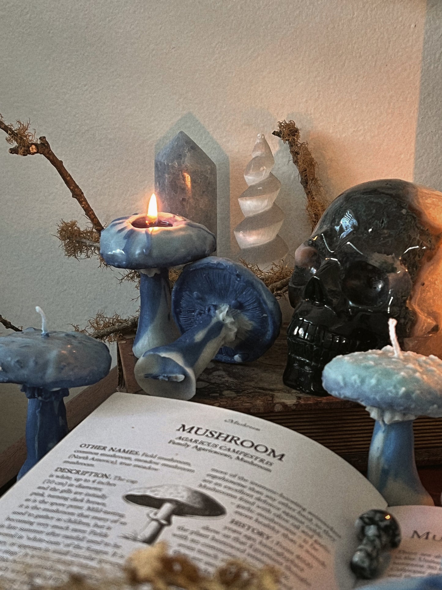 Indigo Milk Cap Mushroom Candles