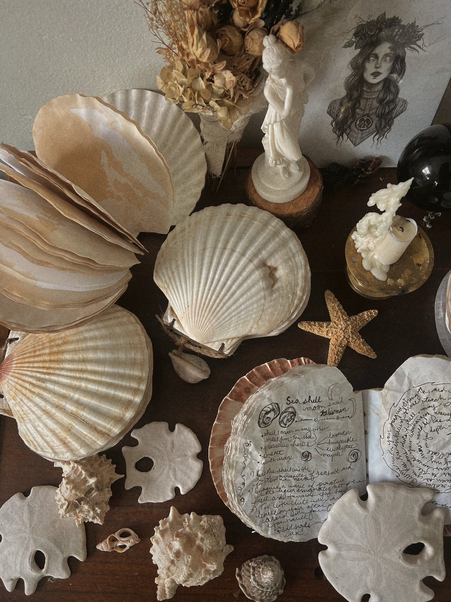 Seashell Grimoire