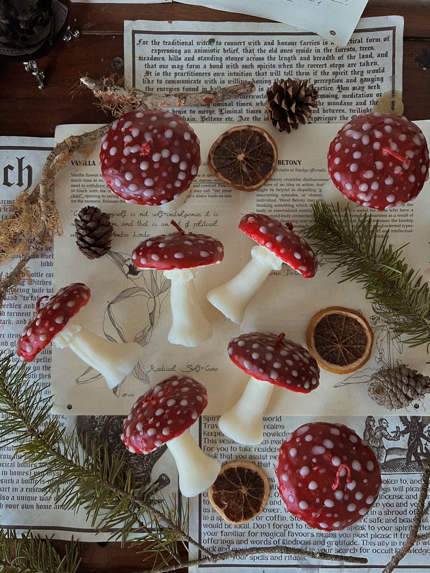 Toadstool Mushroom Candles