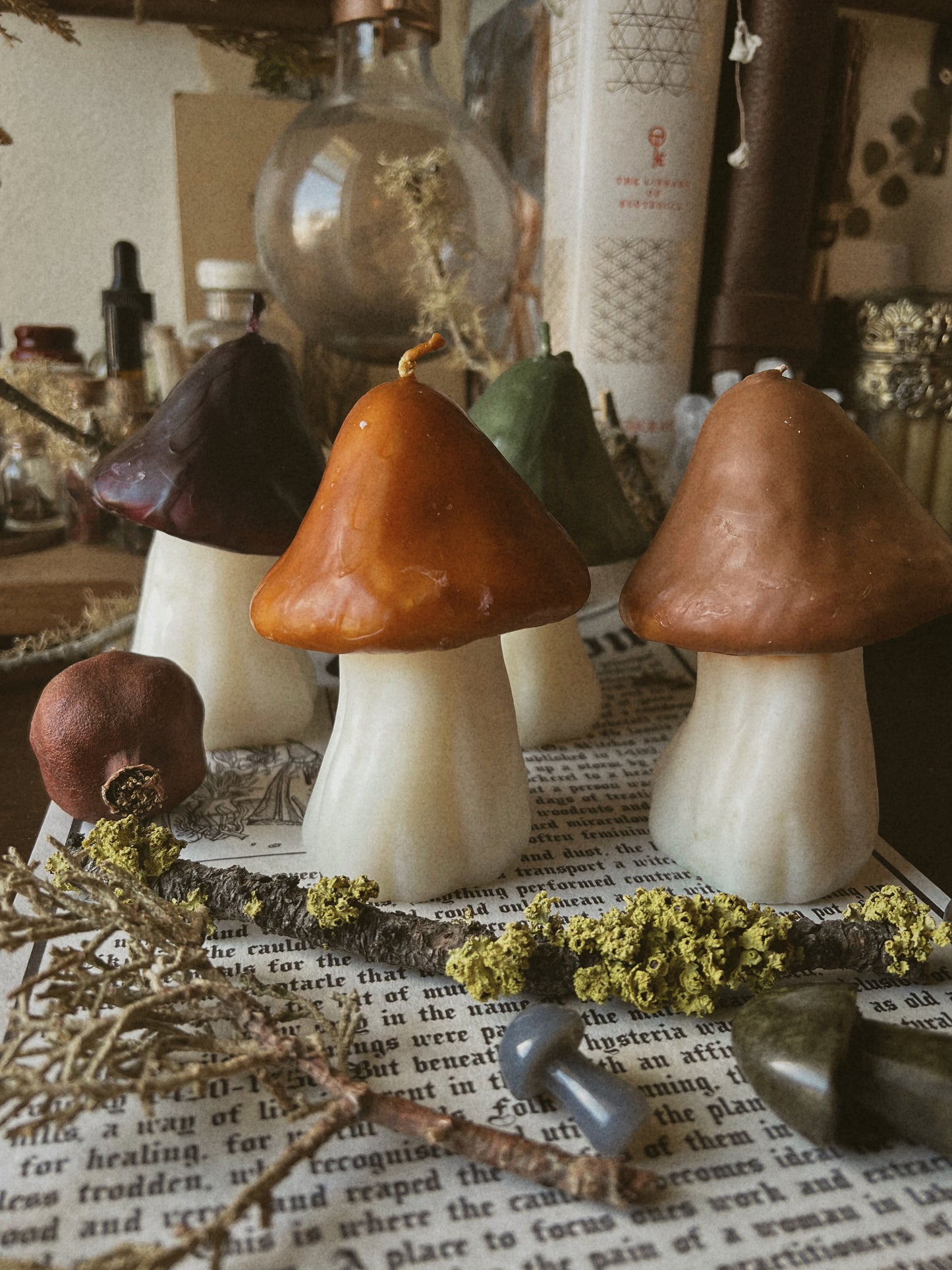 Large Mushroom Candles