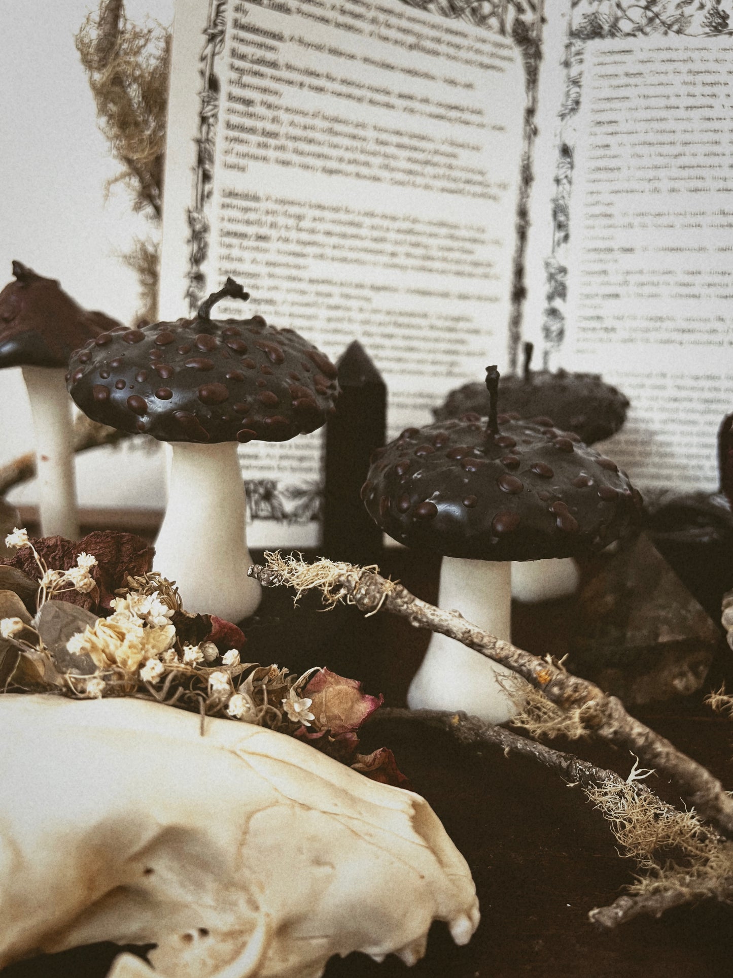 Toadstool Mushroom Candles – Crescent & Craft