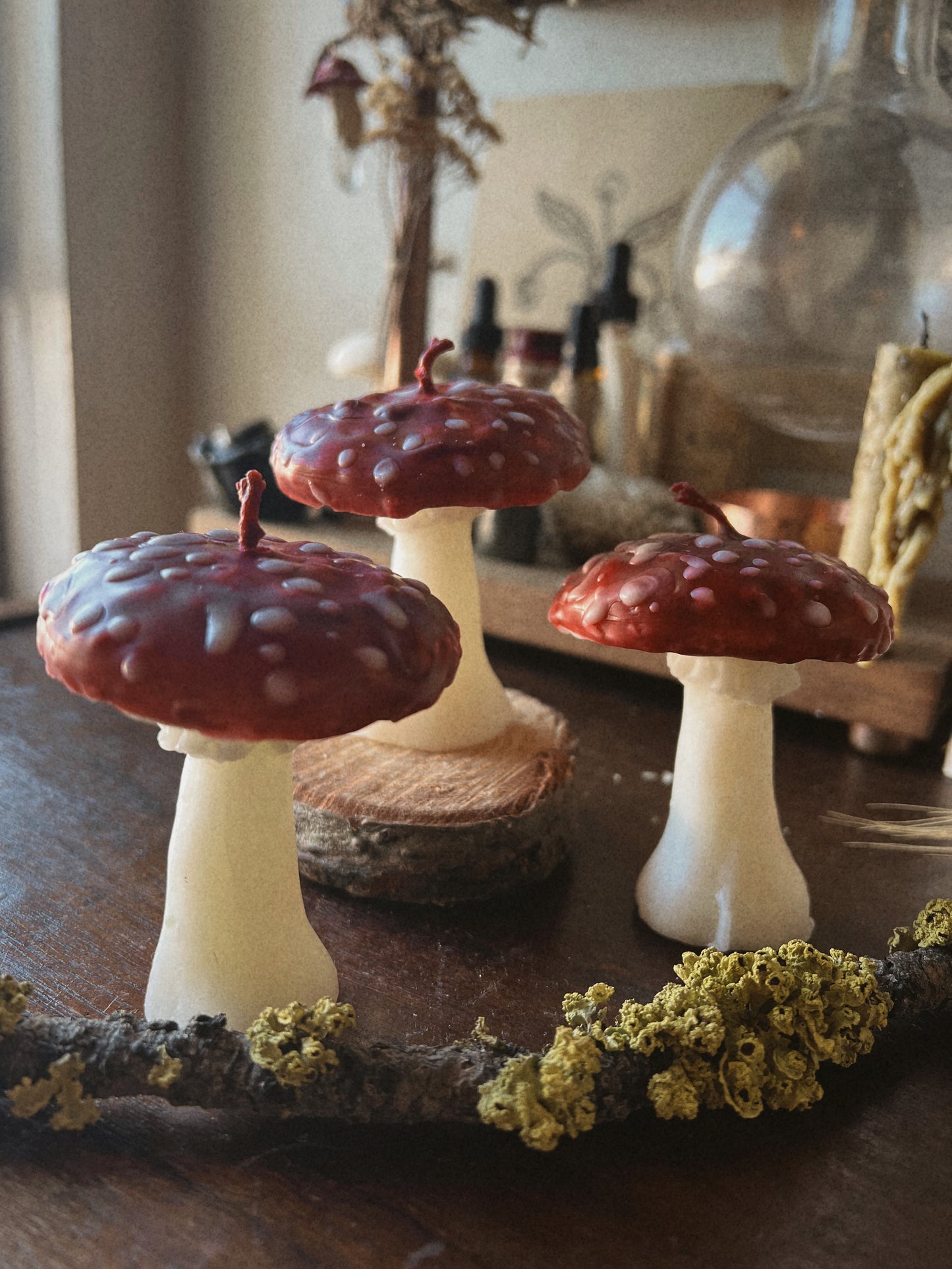 Toadstool Mushroom Candles