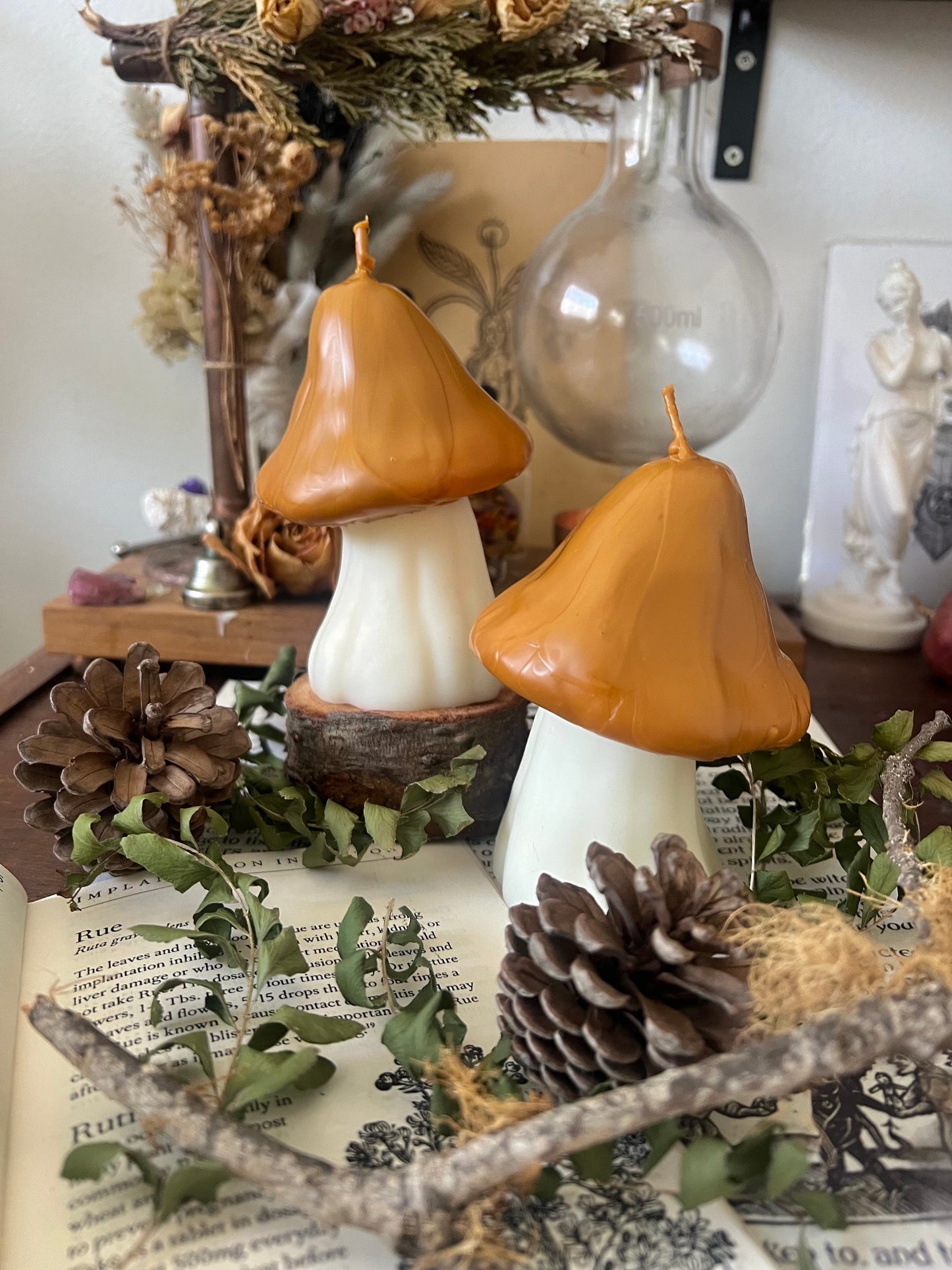 Large Mushroom Candles