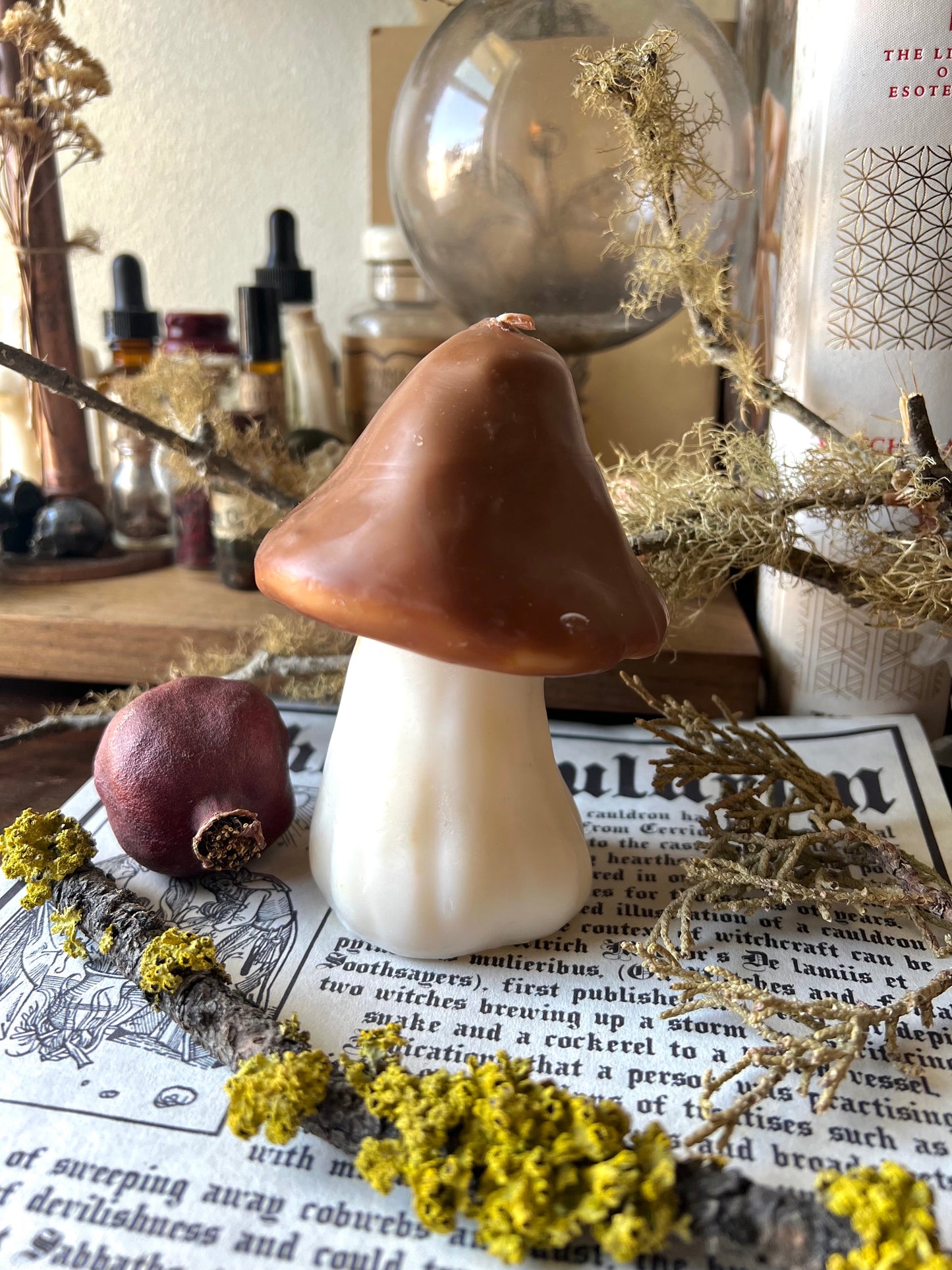 Large Mushroom Candles