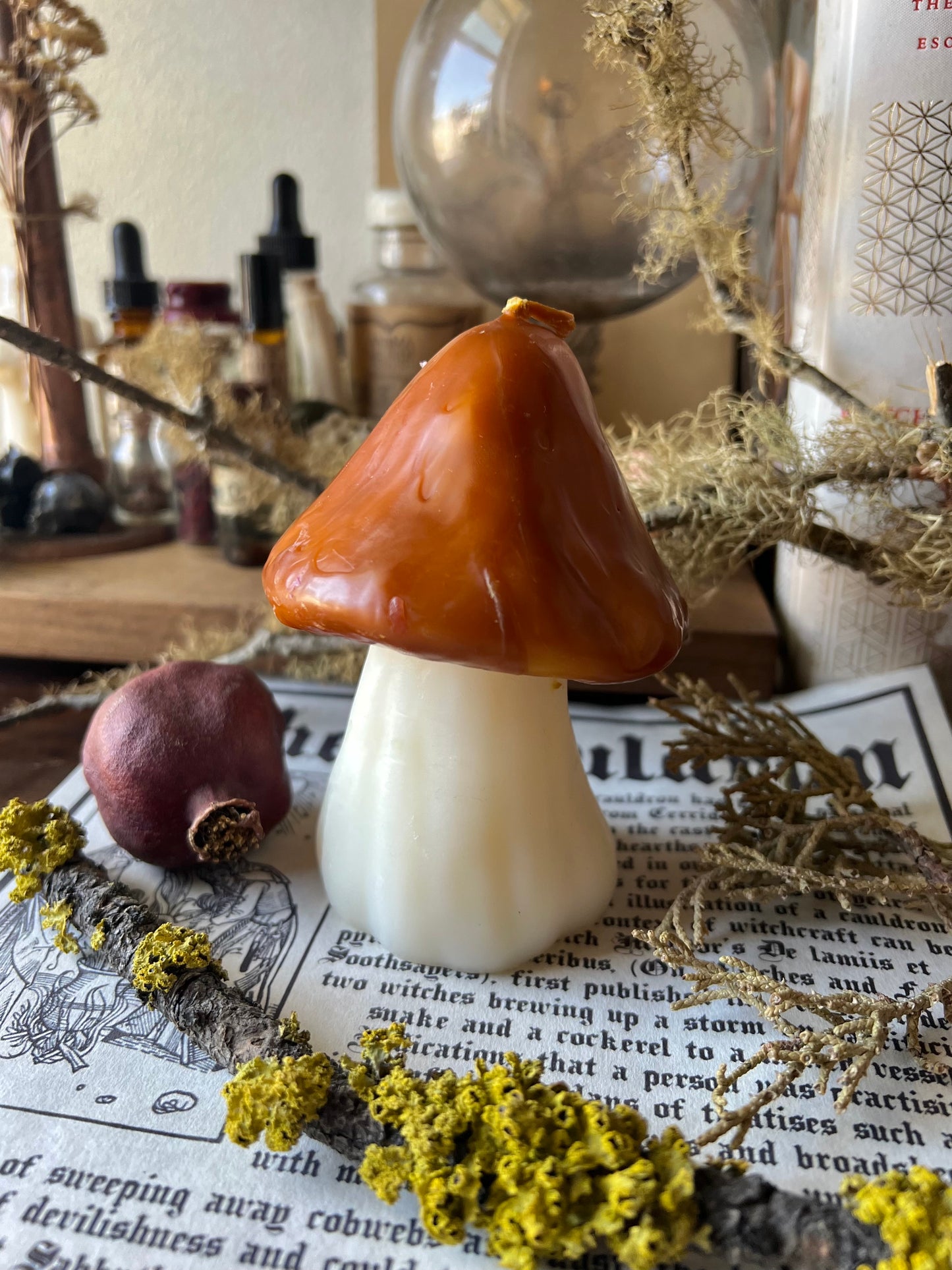 Large Mushroom Candles