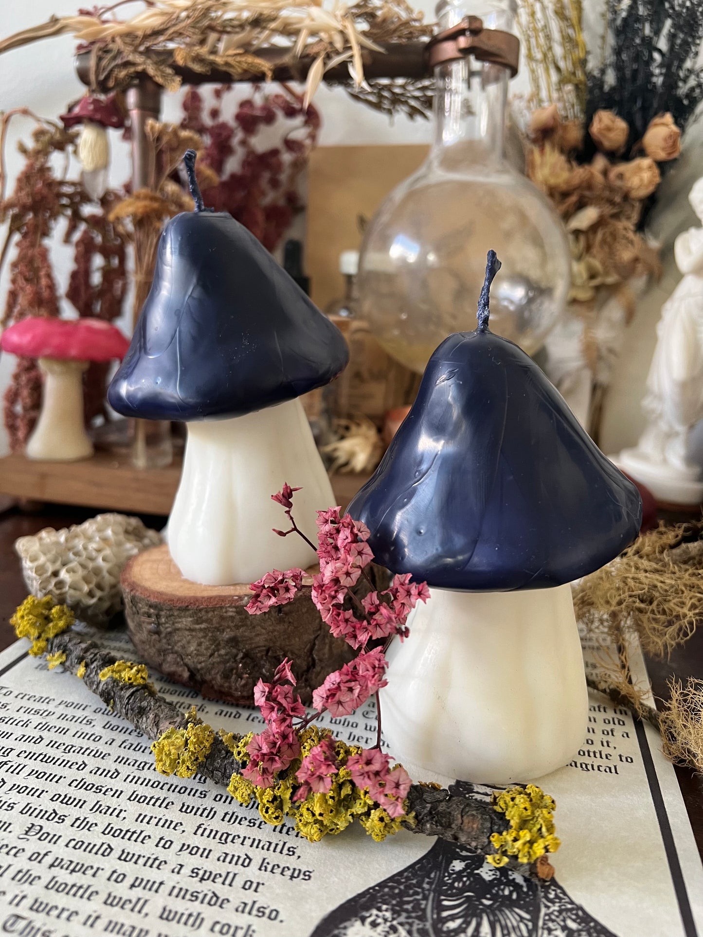 Large Mushroom Candles