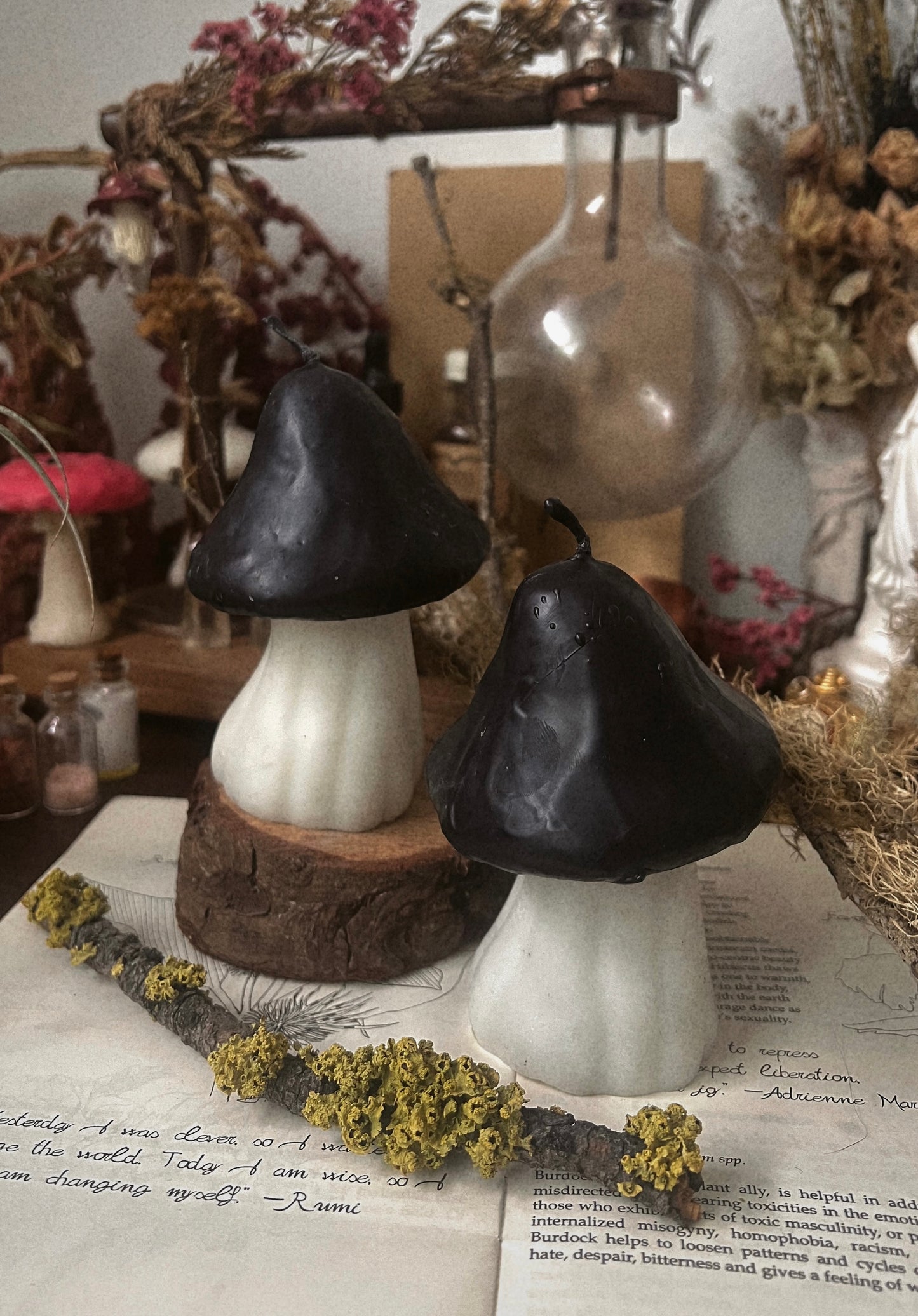 Large Mushroom Candles